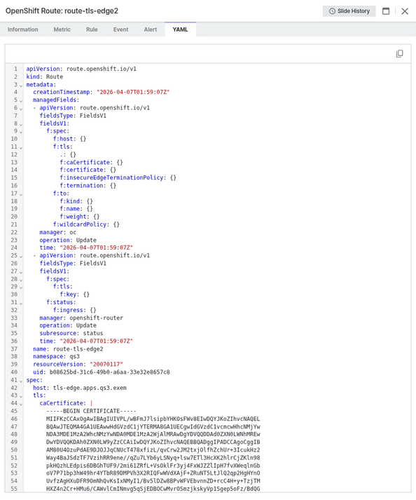 Route 상세 - YAML 탭