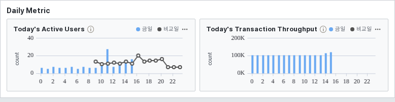 Daily Metric 섹션