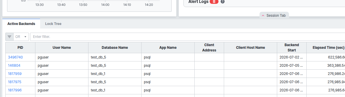Session Tab - Active Backends 탭