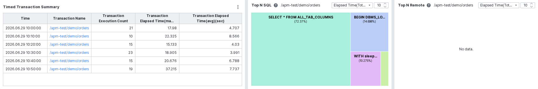 Timed Transaction Summary 및 Top N SQL/Remote